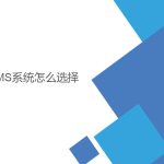 wms系統(tǒng)怎么選擇？